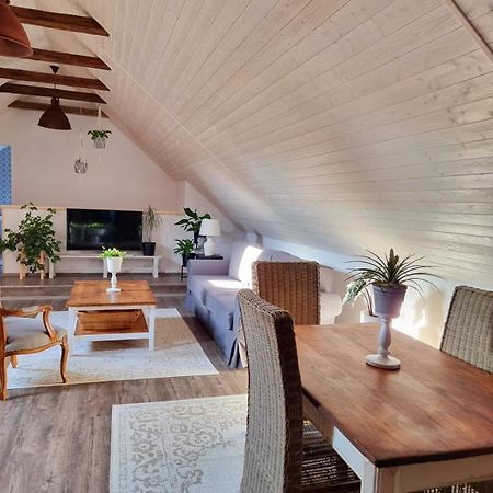Apartman U Stef Borotice المظهر الخارجي الصورة