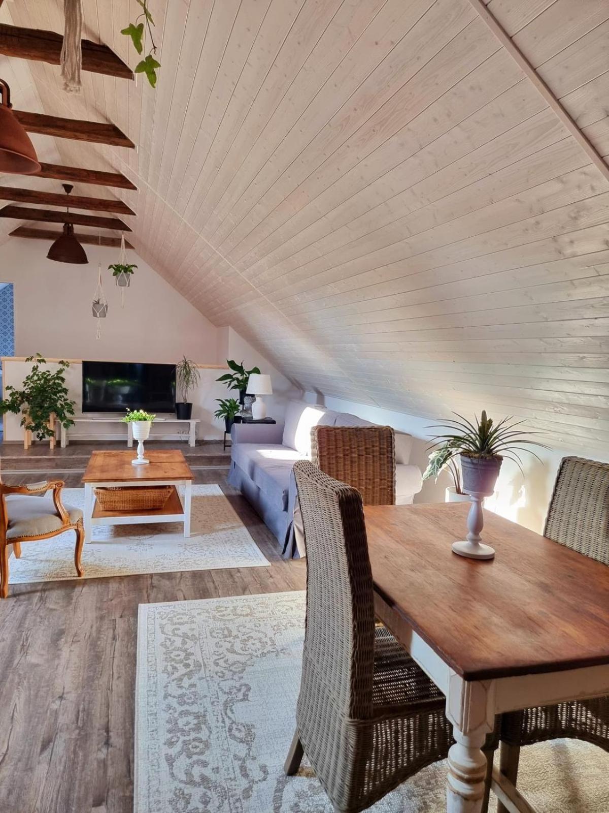 Apartman U Stef Borotice المظهر الخارجي الصورة