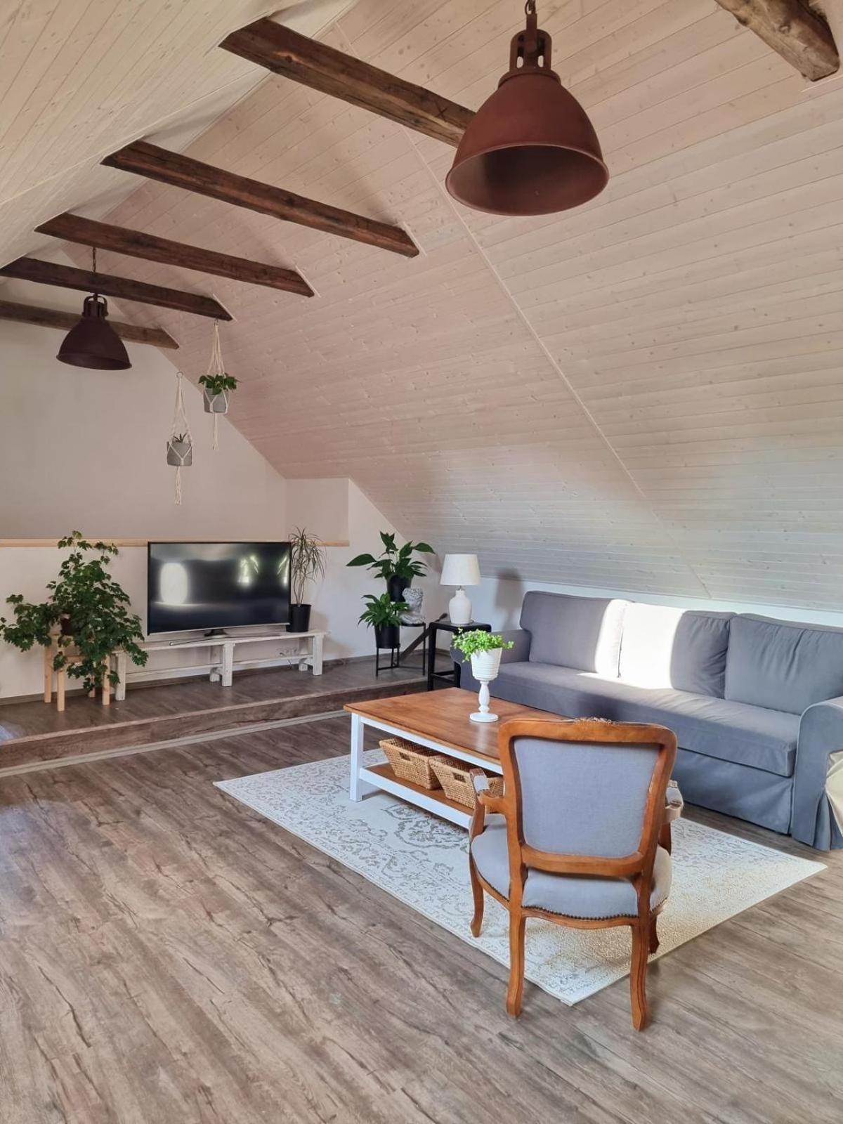 Apartman U Stef Borotice المظهر الخارجي الصورة