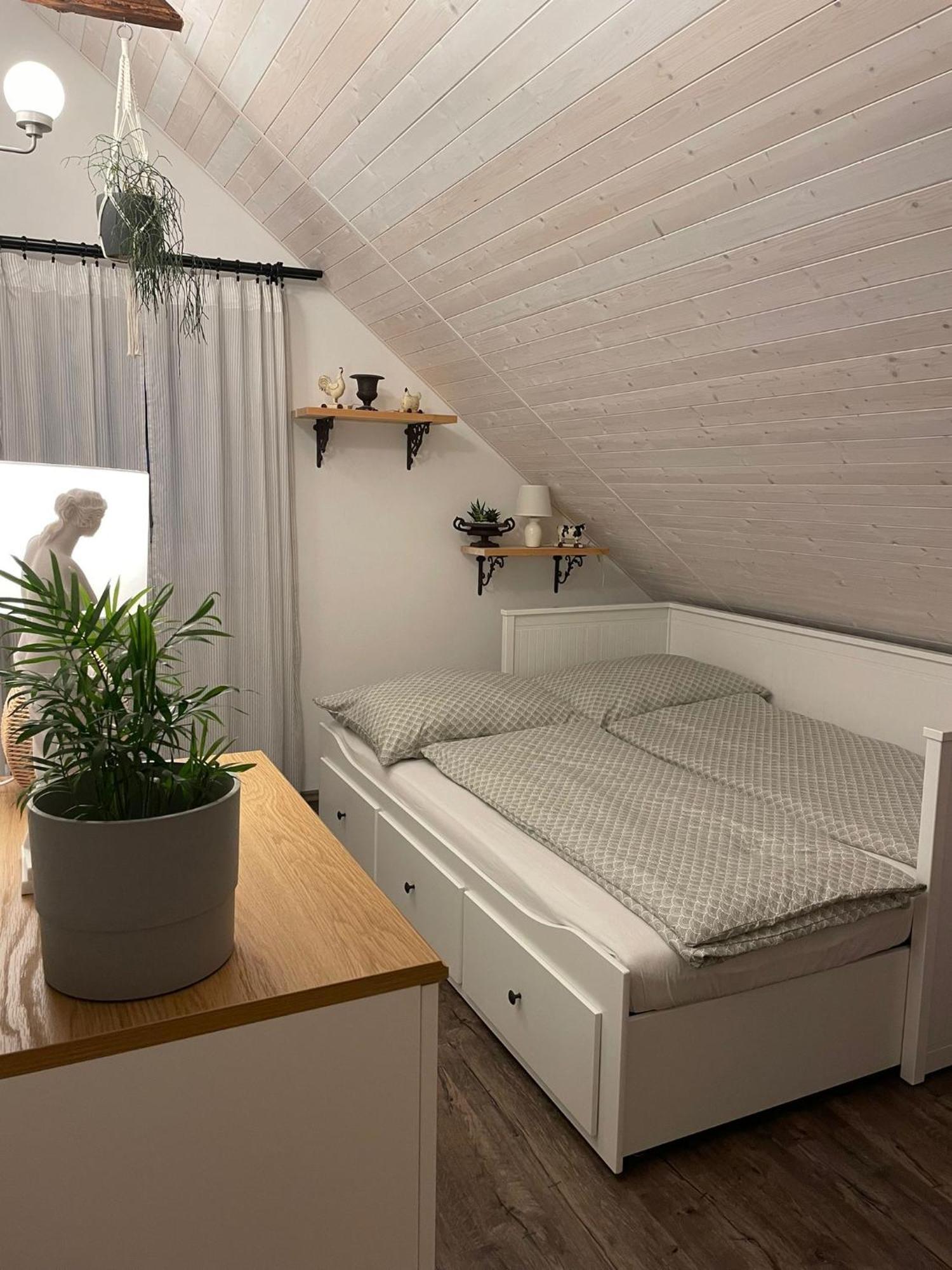 Apartman U Stef Borotice المظهر الخارجي الصورة